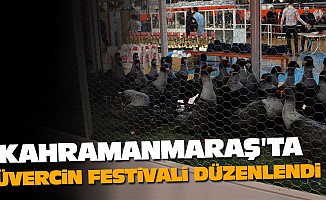 Kahramanmaraş'ta Güvercin Festivali Düzenlendi