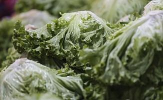 Şubatta en fazla Kıvırcık Salata fiyatı arttı