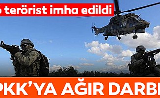 Terör örgütü PKK'ya bir darbe daha