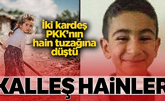 PKK’lıların tuzakladığı patlayıcı infilak etti: 2 kardeş yaşamını yitirdi