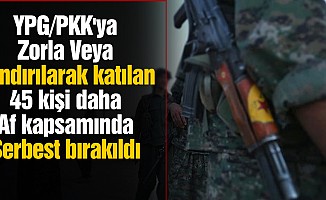 YPG/PKK'ya zorla veya kandırılarak katılan 45 kişi daha af kapsamında serbest bırakıldı