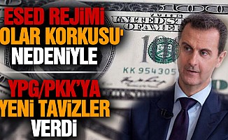 Esed rejimi 'dolar korkusu' nedeniyle YPG/PKK’ya yeni tavizler verdi