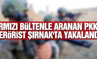 Kırmızı bültenle aranan PKK'lı terörist Şırnak'ta yakalandı