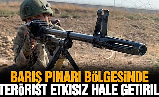 Barış Pınarı bölgesinde 2 terörist etkisiz hale getirildi