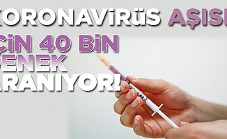 Koronavirüs aşısı için 40 bin denek aranıyor!