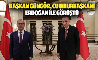 Güngör, Cumhurbaşkanı Erdoğan İle Görüştü