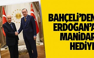 MHP Lideri Devlet Bahçeli'den, Cumhurbaşkanı Erdoğan'a manidar hediye