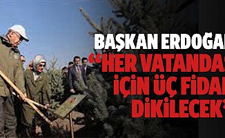 Başkan Erdoğan, “her vatandaş için 3 fidan dikilecek”