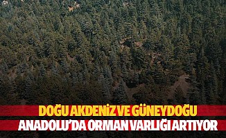 Doğu Akdeniz ve Güneydoğu Anadolu'da Orman Varlığı Artıyor
