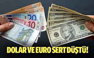Dolar ve euro sert düştü!