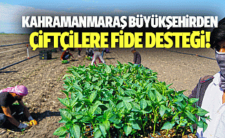 Kahramanmaraş Büyükşehirden çiftçilere fide desteği!