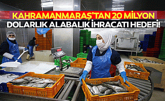 Kahramanmaraş'tan 20 milyon dolarlık alabalık ihracatı hedefi!