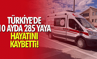 Türkiye'de 10 ayda 285 yaya hayatını kaybetti!