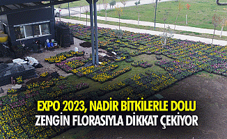 Expo 2023, Nadir Bitkilerle Dolu Zengin Florasıyla Dikkat Çekiyor