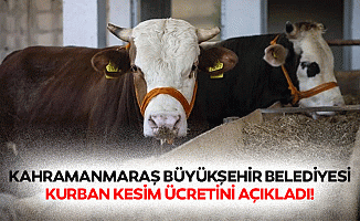 Kahramanmaraş Büyükşehir Belediyesi kurban kesim ücretini açıkladı!