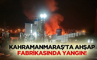 Kahramanmaraş'ta ahşap fabrikasında yangın!